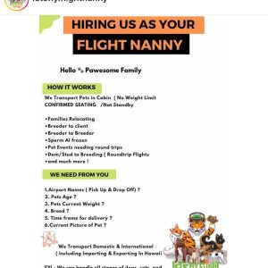 FLIGHT NANNY DELIVERY SERVICES